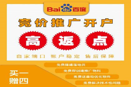 百度广告竞价排名实战技巧案例分析